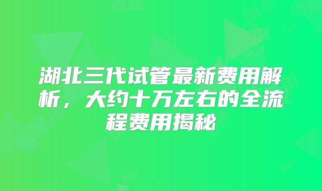 湖北三代试管最新费用解析，大约十万左右的全流程费用揭秘