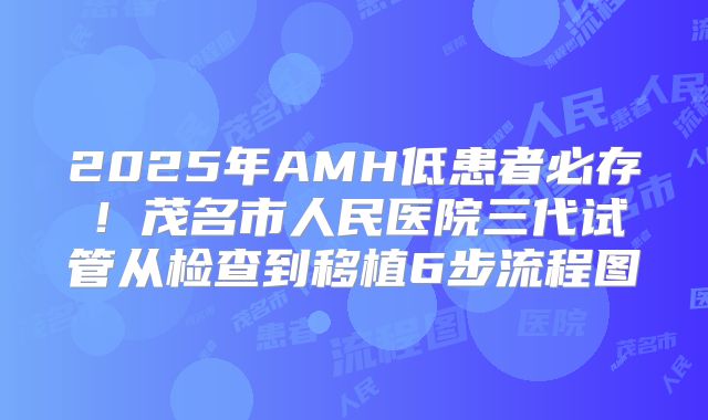 2025年AMH低患者必存!茂名市人民医院三代试管从检查到移植6步流程图