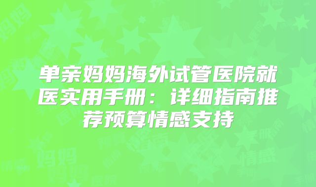 单亲妈妈海外试管医院就医实用手册：详细指南推荐预算情感支持