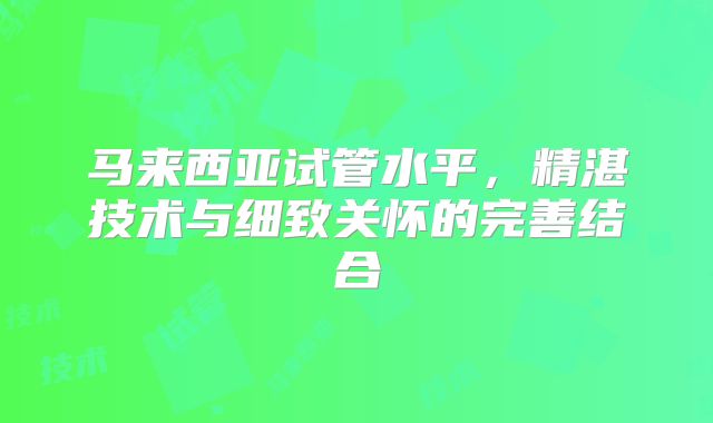 马来西亚试管水平，精湛技术与细致关怀的完善结合