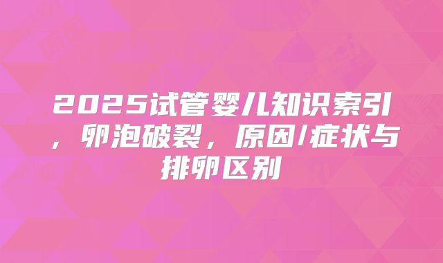 2025试管婴儿知识索引，卵泡破裂，原因/症状与排卵区别