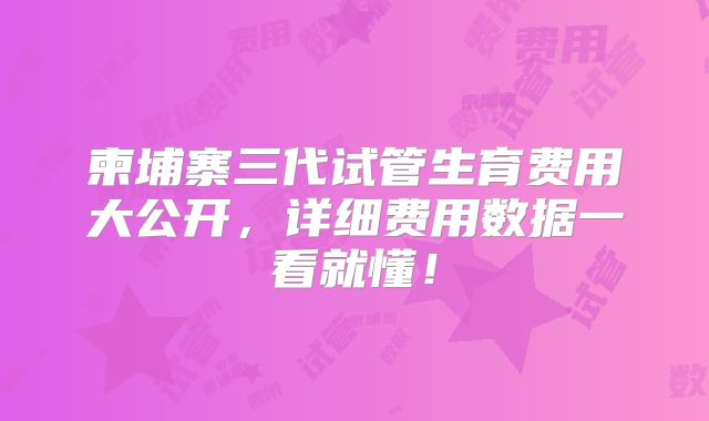 柬埔寨三代试管生育费用大公开，详细费用数据一看就懂！