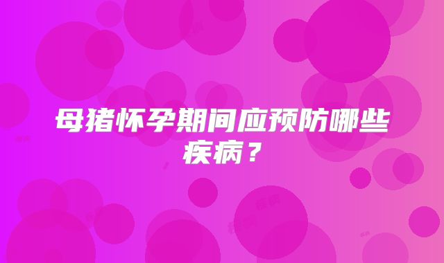 母猪怀孕期间应预防哪些疾病?