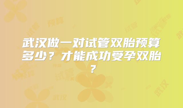 武汉做一对试管双胎预算多少？才能成功受孕双胎？