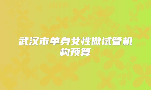 武汉市单身女性做试管机构预算