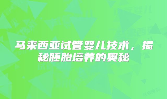 马来西亚试管婴儿技术，揭秘胚胎培养的奥秘