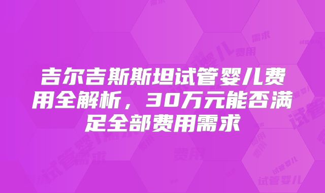 吉尔吉斯斯坦试管婴儿费用全解析，30万元能否满足全部费用需求
