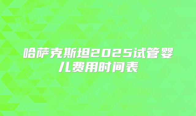 哈萨克斯坦2025试管婴儿费用时间表