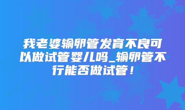 我老婆输卵管发育不良可以做试管婴儿吗_输卵管不行能否做试管！