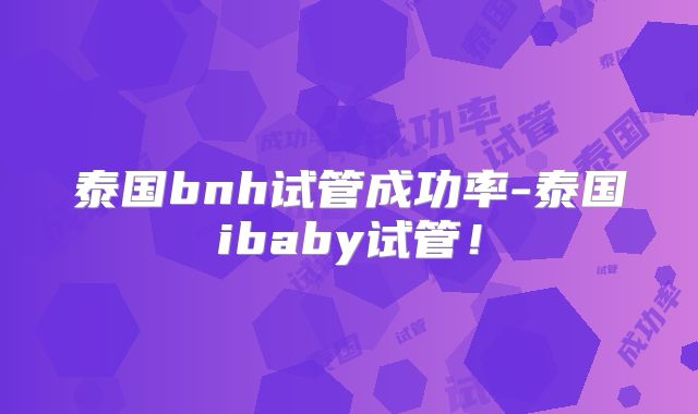 泰国bnh试管成功率-泰国ibaby试管！