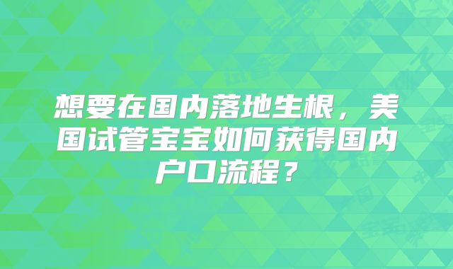 想要在国内落地生根，美国试管宝宝如何获得国内户口流程？