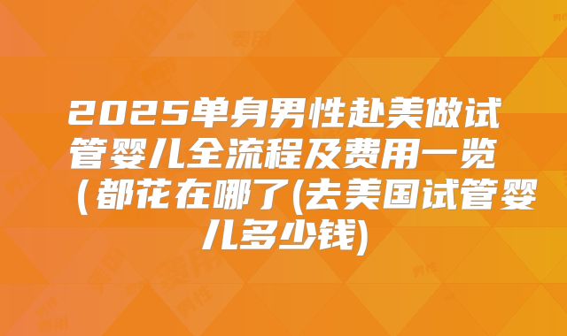 2025单身男性赴美做试管婴儿全流程及费用一览(都花在哪了(去美国试管婴儿多少钱)