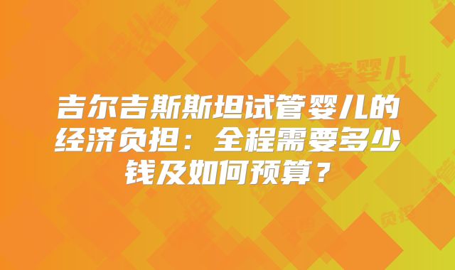 吉尔吉斯斯坦试管婴儿的经济负担：全程需要多少钱及如何预算？