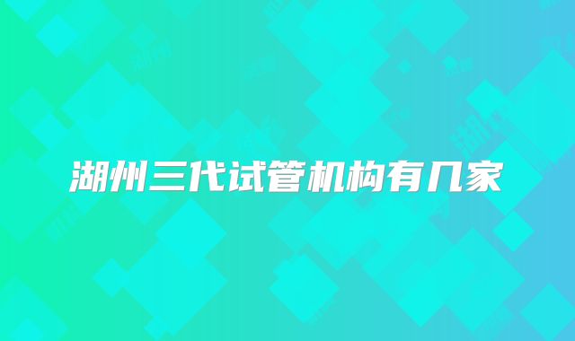 湖州三代试管机构有几家