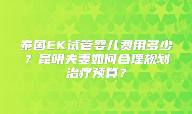 泰国EK试管婴儿费用多少？昆明夫妻如何合理规划治疗预算？