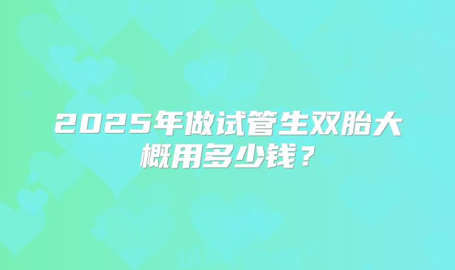 2025年做试管生双胎大概用多少钱？