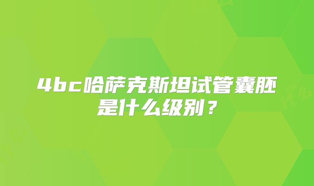 4bc哈萨克斯坦试管囊胚是什么级别？