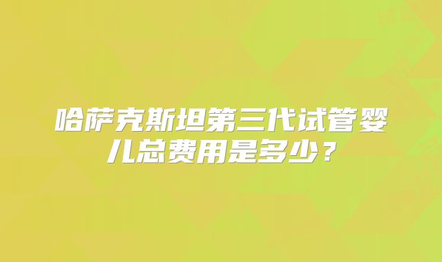 哈萨克斯坦第三代试管婴儿总费用是多少？