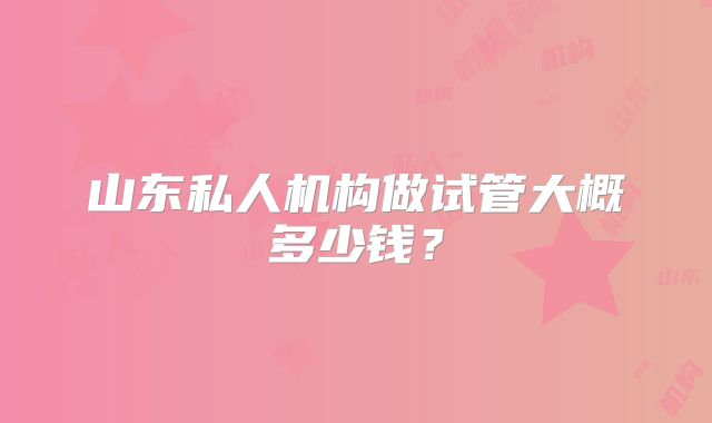 山东私人机构做试管大概多少钱？