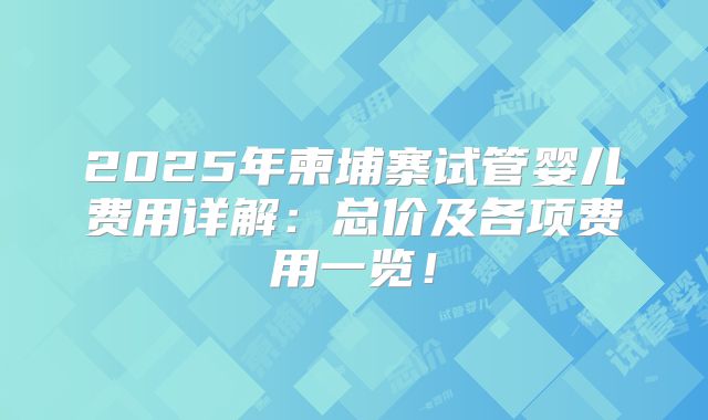 2025年柬埔寨试管婴儿费用详解：总价及各项费用一览！