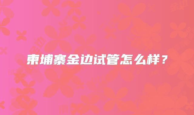 柬埔寨金边试管怎么样？