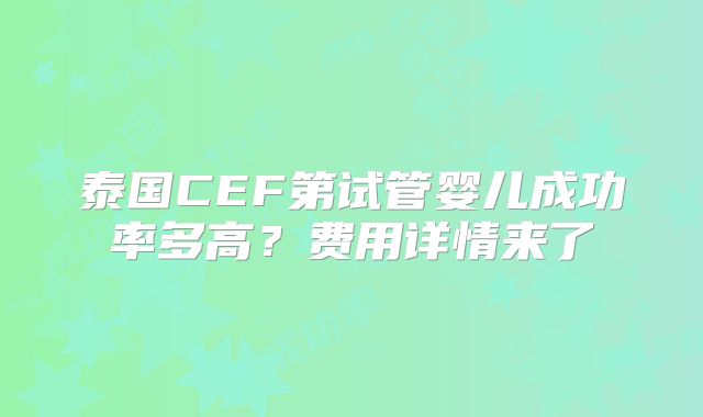 泰国CEF第试管婴儿成功率多高？费用详情来了