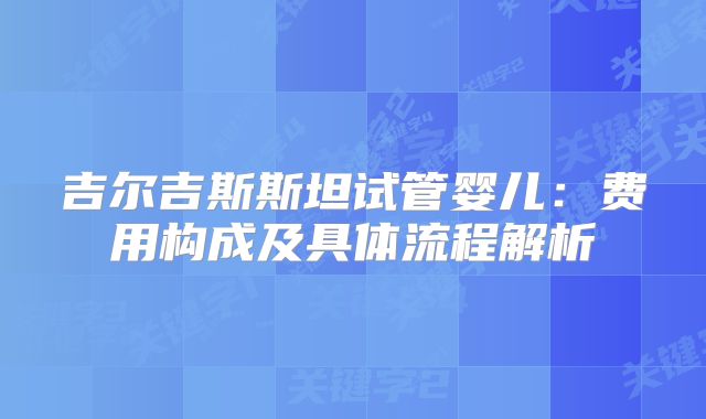 吉尔吉斯斯坦试管婴儿：费用构成及具体流程解析