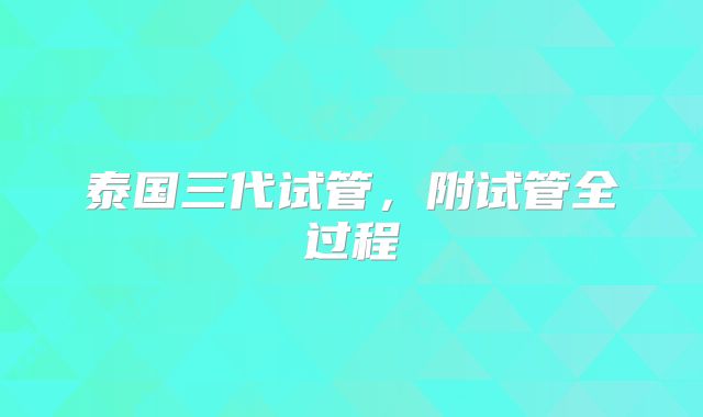 泰国三代试管，附试管全过程