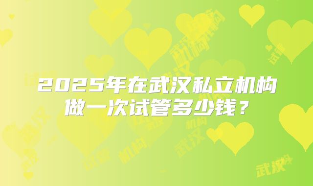 2025年在武汉私立机构做一次试管多少钱？