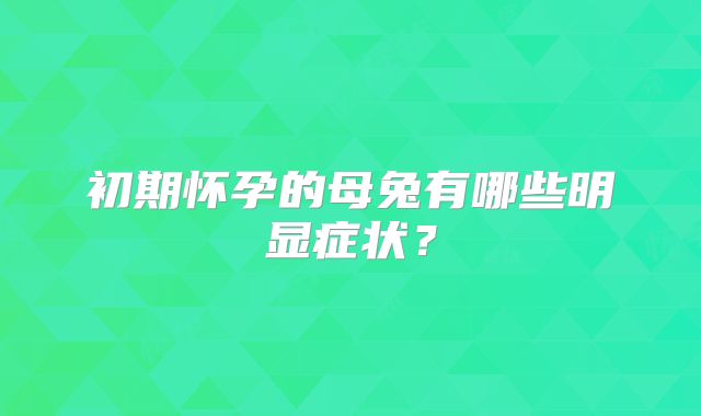 初期怀孕的母兔有哪些明显症状?