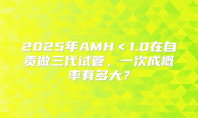 2025年AMH＜1.0在自贡做三代试管，一次成概率有多大？