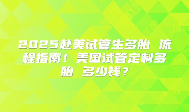 2025赴美试管生多胎 流程指南！美国试管定制多胎 多少钱？