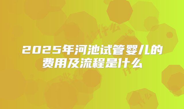 2025年河池试管婴儿的费用及流程是什么