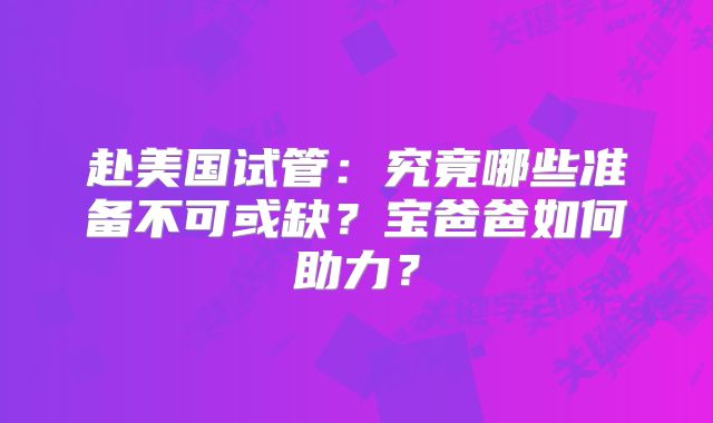 赴美国试管:究竟哪些准备不可或缺?宝爸爸如何助力?