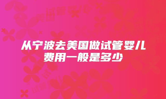 从宁波去美国做试管婴儿费用一般是多少