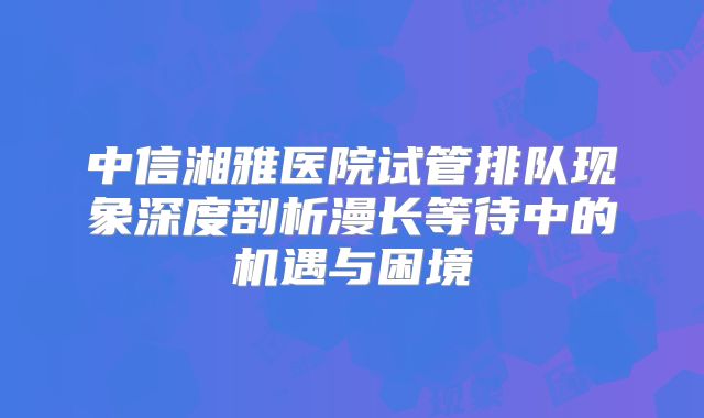 中信湘雅医院试管排队现象深度剖析漫长等待中的机遇与困境