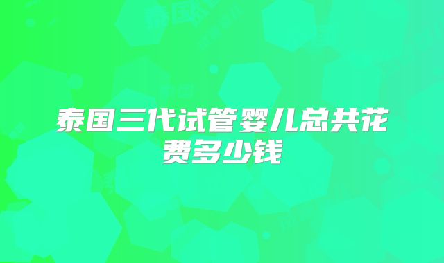 泰国三代试管婴儿总共花费多少钱