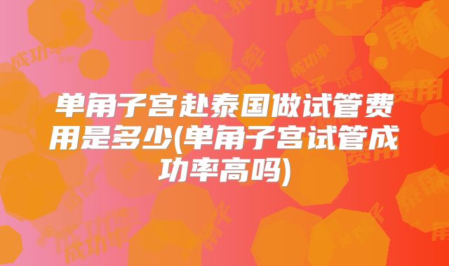 单角子宫赴泰国做试管费用是多少(单角子宫试管成功率高吗)