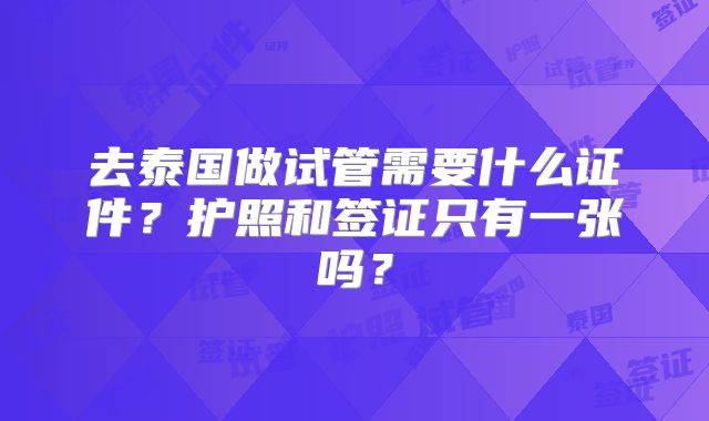 去泰国做试管需要什么证件？护照和签证只有一张吗？