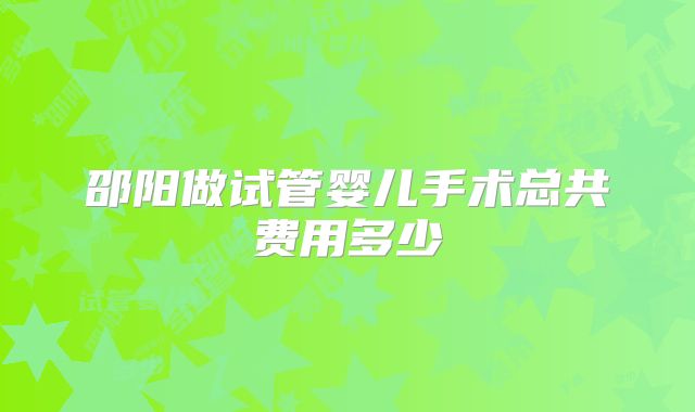 邵阳做试管婴儿手术总共费用多少