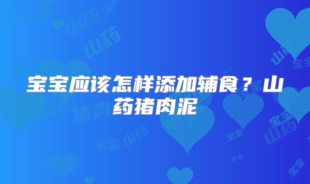 宝宝应该怎样添加辅食？山药猪肉泥