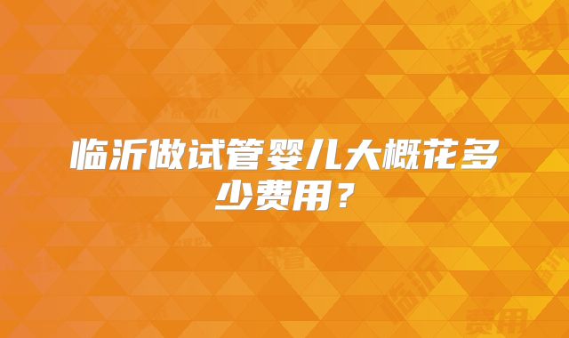 临沂做试管婴儿大概花多少费用？