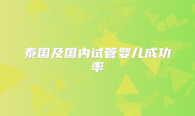 泰国及国内试管婴儿成功率