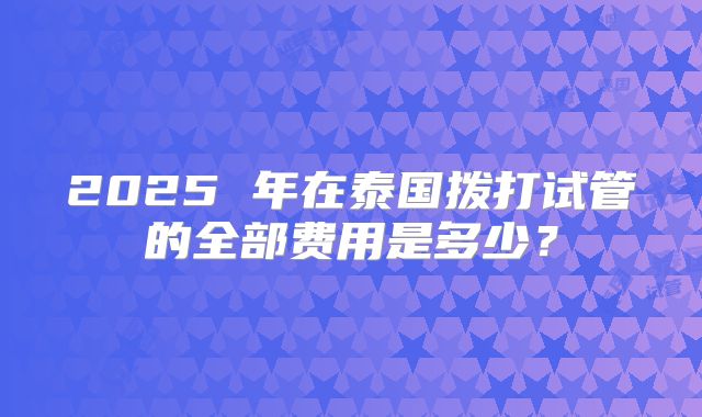 2025 年在泰国拨打试管的全部费用是多少？