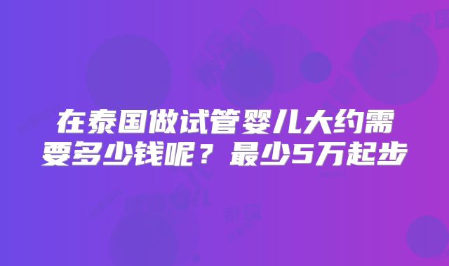 在泰国做试管婴儿大约需要多少钱呢?最少5万起步