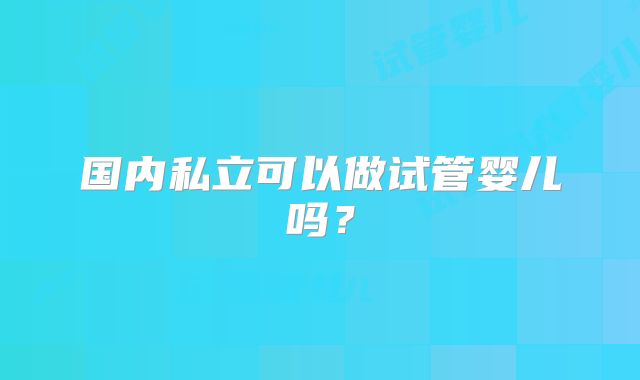 国内私立可以做试管婴儿吗？