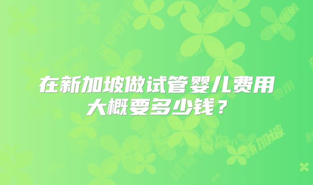 在新加坡做试管婴儿费用大概要多少钱？