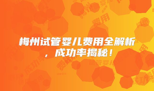 梅州试管婴儿费用全解析，成功率揭秘！