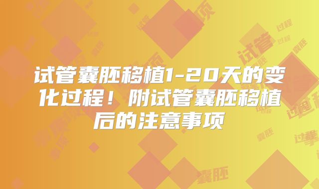 试管囊胚移植1-20天的变化过程！附试管囊胚移植后的注意事项