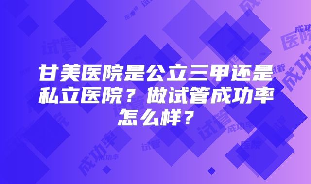 甘美医院是公立三甲还是私立医院？做试管成功率怎么样？